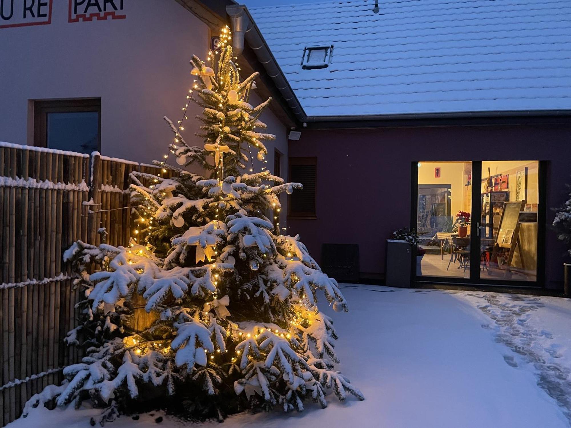 Le Refuge Du Rempart Otel Dambach Dış mekan fotoğraf