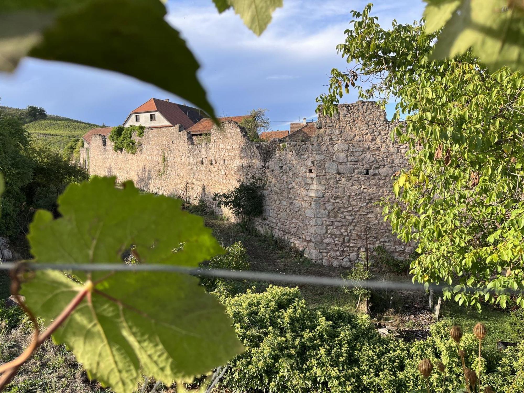 Le Refuge Du Rempart Otel Dambach Oda fotoğraf